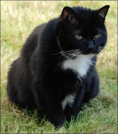 Et lui, qui est-il ?