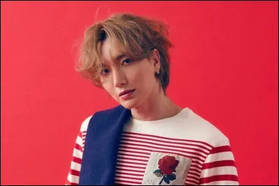 Il est leader de quel groupe ?