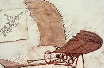 Pour construire sa machine volante, Léonard de Vinci a étudié les ailes d'un aigle.