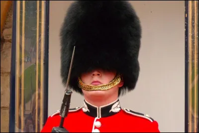 Les bonnets des gardes de Buckingham Palace sont faits à partir de peau d'ours.