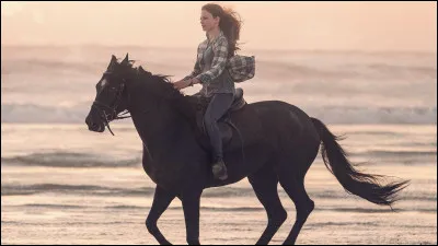 Quel est le nom de ce cheval ?
(Je vous aide, Black...)