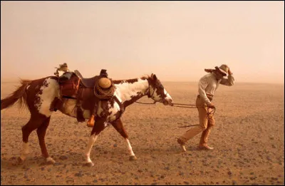 Comment s'appelle ce film ?