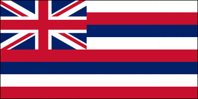 A quel état des Etats-Unis, célèbre pour ses vagues, ses volcans et ses airs de ukulélé, appartient ce drapeau ?
