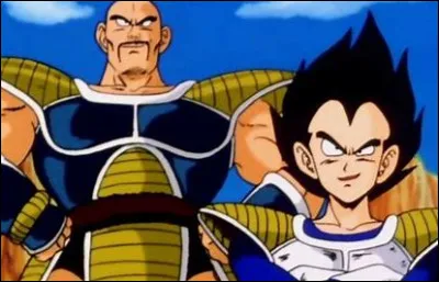 Comment se nomment les deux guerriers Saiyans venus sur Terre ?