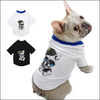 Tu portes le plus souvent...