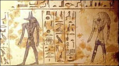 Combien de temps doit durer ta visite idéale ?