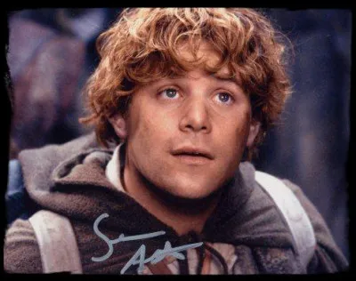 Comment s'appelle le Hobbit qui accompagne Frodon ?