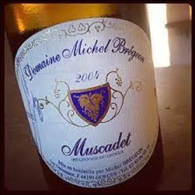 Le muscadet est-il un vin rouge ?