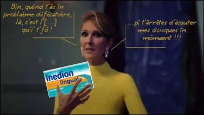 Il est vrai que d'habitude, cette chanteuse-l&agrave; n'a pas l'air trop constip&eacute;e au quotidien ! Mais &eacute;coutons plut&ocirc;t cette artiste...