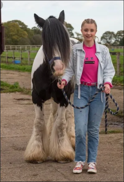 Quelle est la race du cheval Bob, dans la série "Zoe et Raven" ?