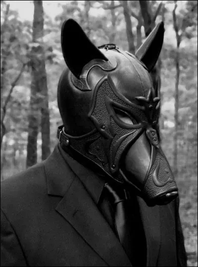 Ce personnage est déguisé en :