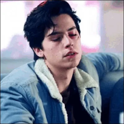 Quelle est la première série de Cole Sprouse ?