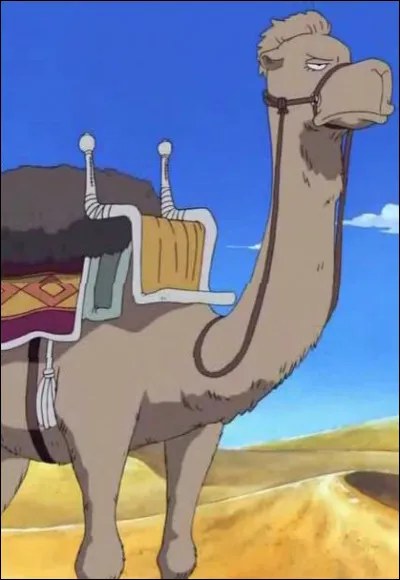 Dans l'arc Alabasta comment s'appelle le chameau ?