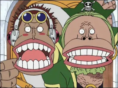 Dans l'arc Skypiea comment s'appellent les deux singes qui son amis avec Tête de Marron ?