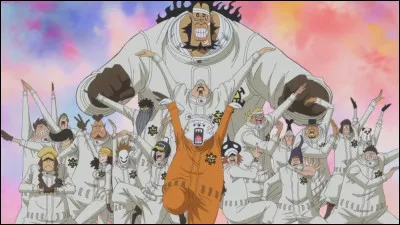 Qui est le navigateur de l'équipage du Heart ?