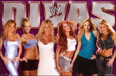 Quelles divas ont particip au premier match en cage feminin ?