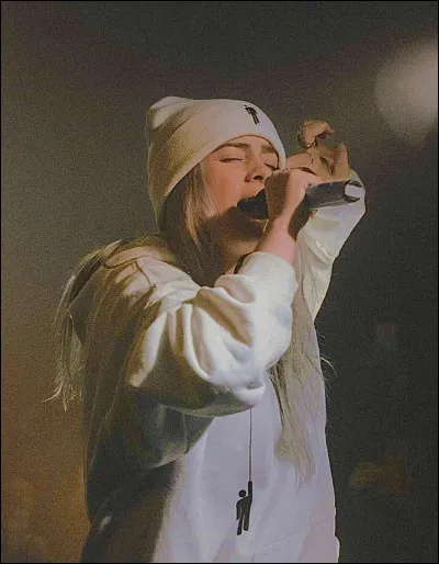 Qui sont les parents de Billie Eilish ?