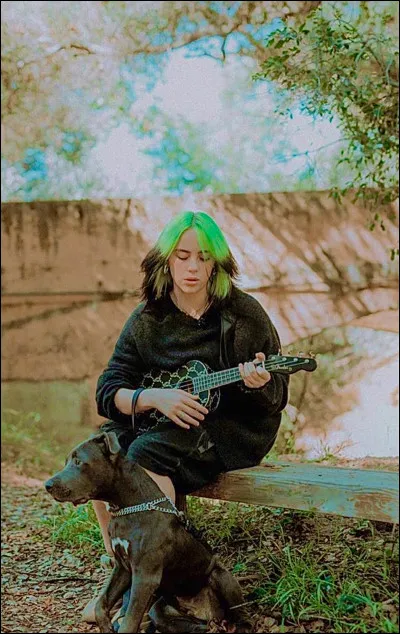 Où habite Billie Eilish ?