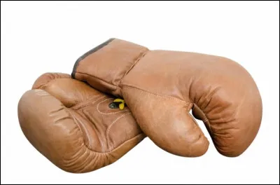 Trouvez l'interprète de la chanson "Quatre boules de cuir" !