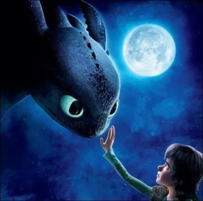 Comment le garon arrive-t-il  apprivoiser le dragon ?