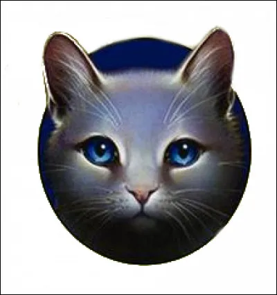 Qui est Oiseau Fr&ecirc;le ?