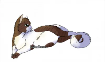 Comment meurt Source Claire ?