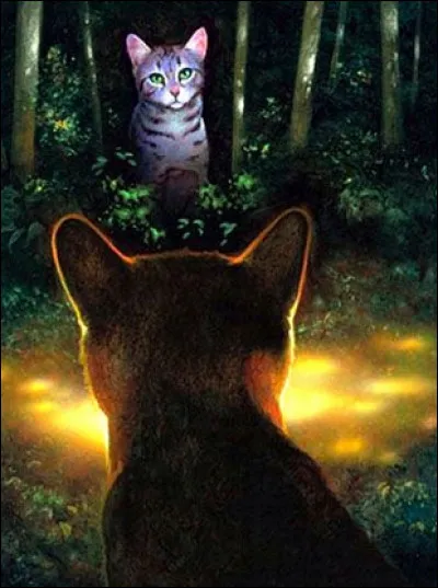 Comment s'appellent les petits de Queue de Tortue ?