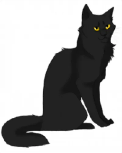 Quel est le nom du chef du clan du ciel (le faux)