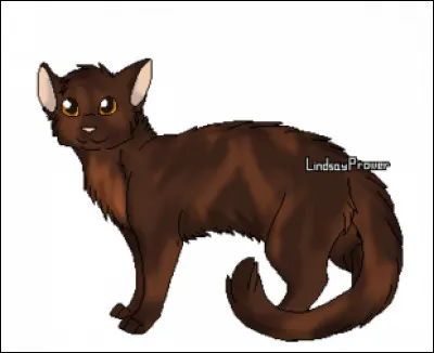 Qui est le fr&egrave;re/la s�ur de Nuage de Poussi&egrave;re ?