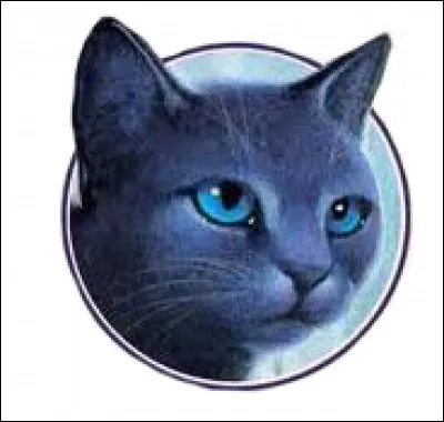 Quel est le nom de guerri&egrave;re d'Etoile Bleue et son mentor en tant qu'apprentie ?