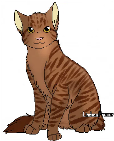 Quel est le nom de chaton d'Etoile Solitaire ?