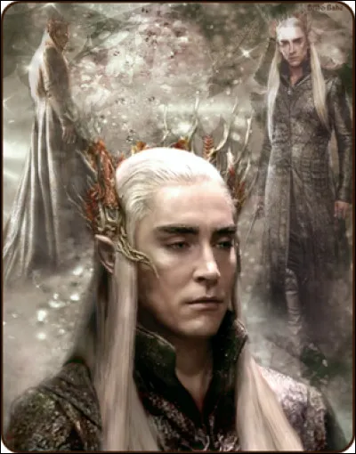 Quelle est ta race préférée ?