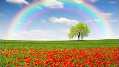 Choisis une couleur.