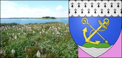 D'où que vous veniez, vous n'oublierez certainement pas ce champ d'asphodèles dans l'Île-...