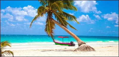 Quel était le premier logo du JoJo Crew ?