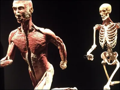 Comment te définies-tu ?