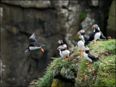 Complétez : 
"Þó í..."