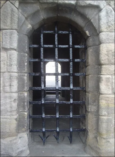 Complétez : 
"Dreki, fugl og jötunn..."