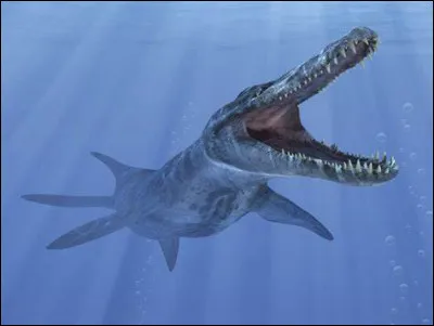 Combien de mètres faisait le crâne du Kronosaure ?