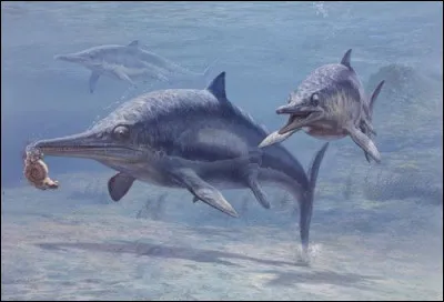 L'Ichthyosaure ressemblait au dauphin mais...
