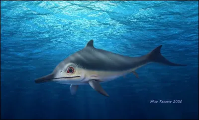 Quand a vécu le Mixosaure ?