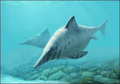 Que signifie "ophtalmosaure" ?