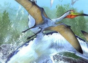 Quiz Les ptrosaures