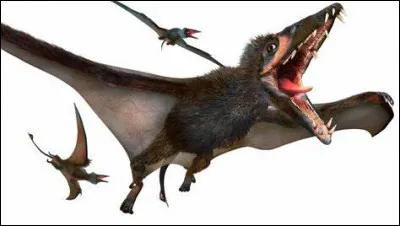 Combien de dents y a-t-il dans la gueule de l'eudimorphodon ?