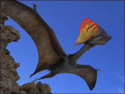 Quel est ce ptérosaure ?