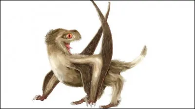 Comment ce ptérosaure s'appelait-il ?