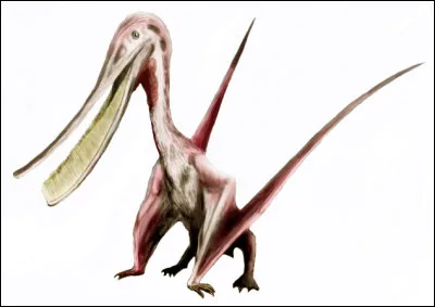 Comment ce ptérosaure s'appelait-il ?