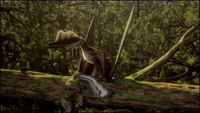 Quel est ce ptérosaure ?