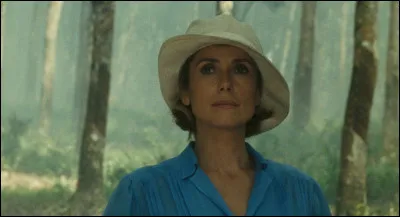 Catherine Deneuve a joué une mère qui est en concurrence amoureuse avec sa fille adoptive. Quel est ce film ?