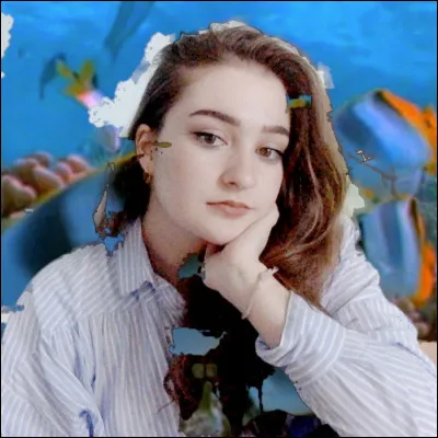 Comment s'appelle sa chaine Twitter ?